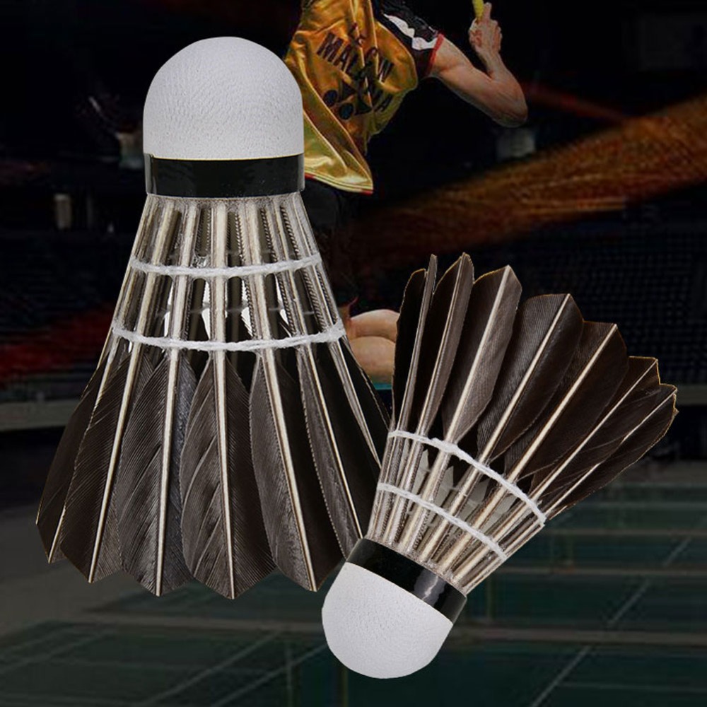 3/6/12 Piezas de Volantes de B - Badminton House reseña y precio