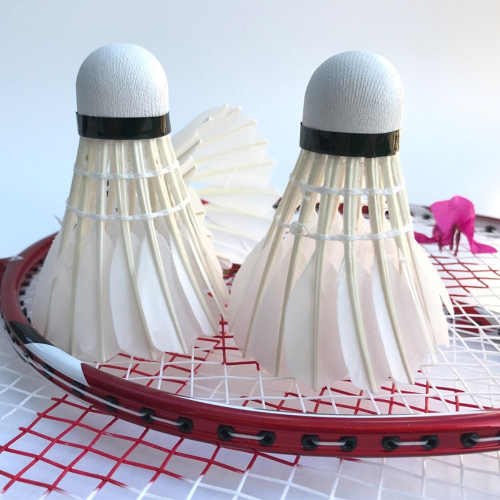 Volante de bádminton blanco nu - Badminton House reseña y precio